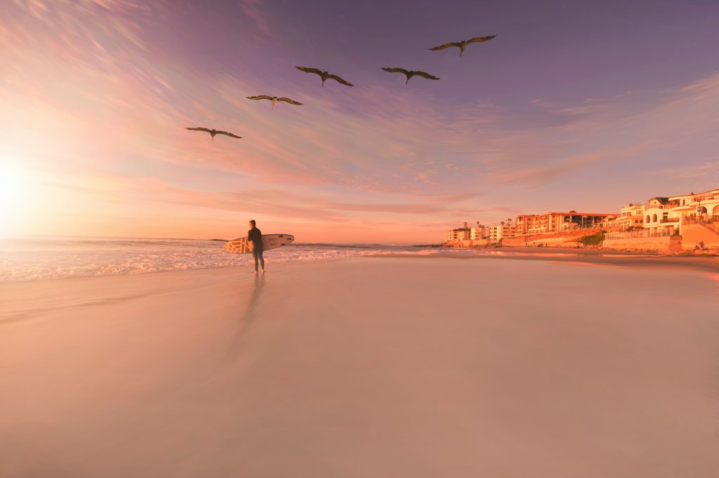 person standing in seashore with birds flying in sky