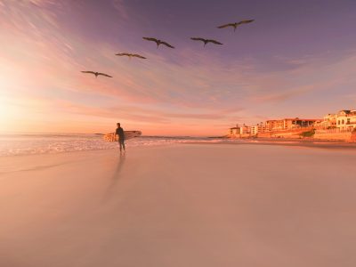 person standing in seashore with birds flying in sky