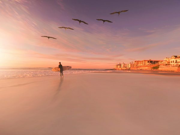 person standing in seashore with birds flying in sky